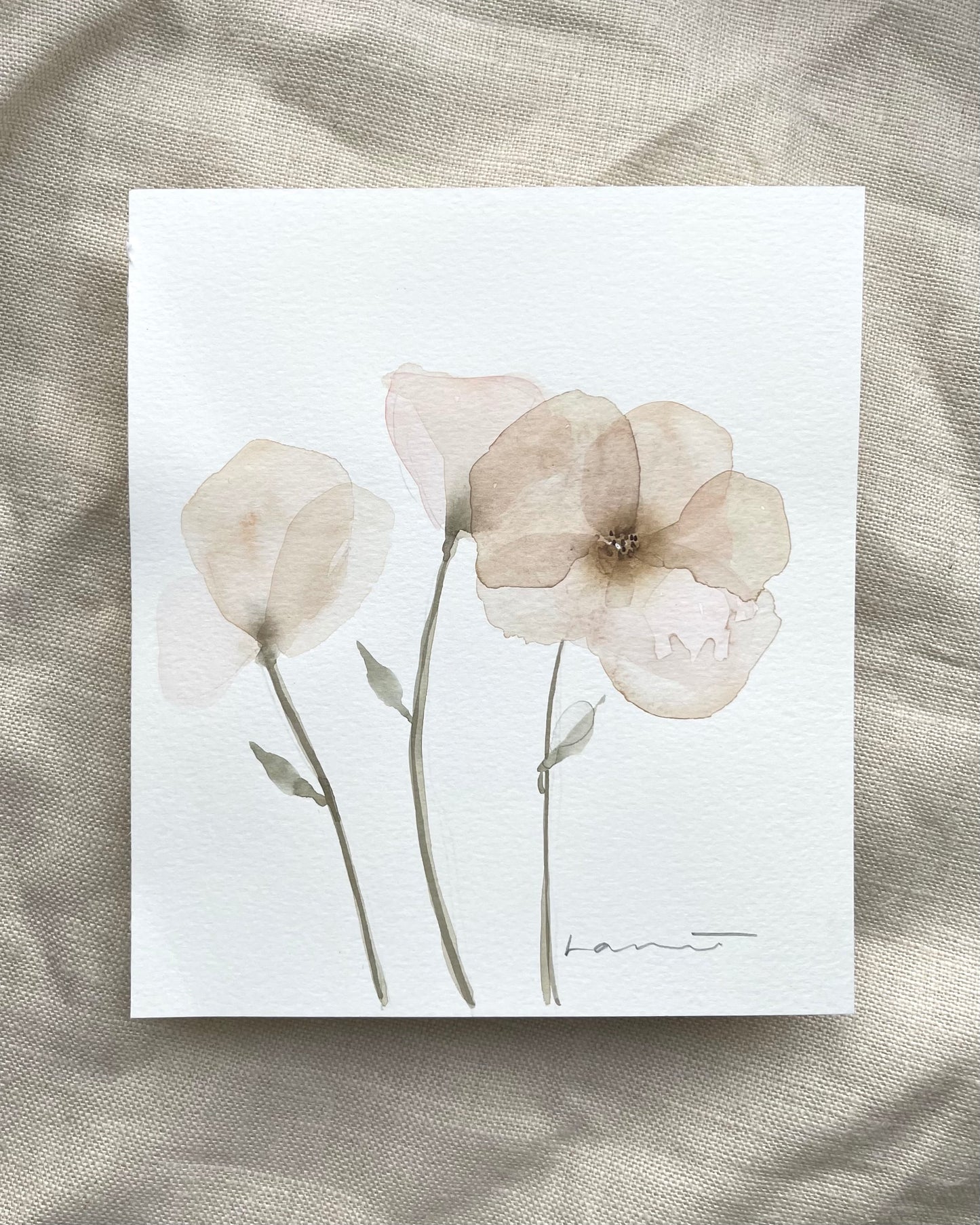 White Poppies I