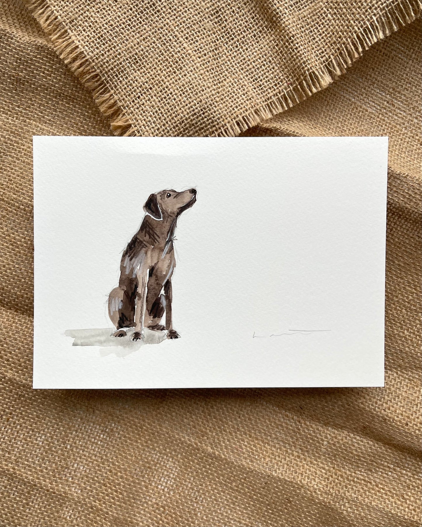 'Some Chocolate' Labrador Illustration