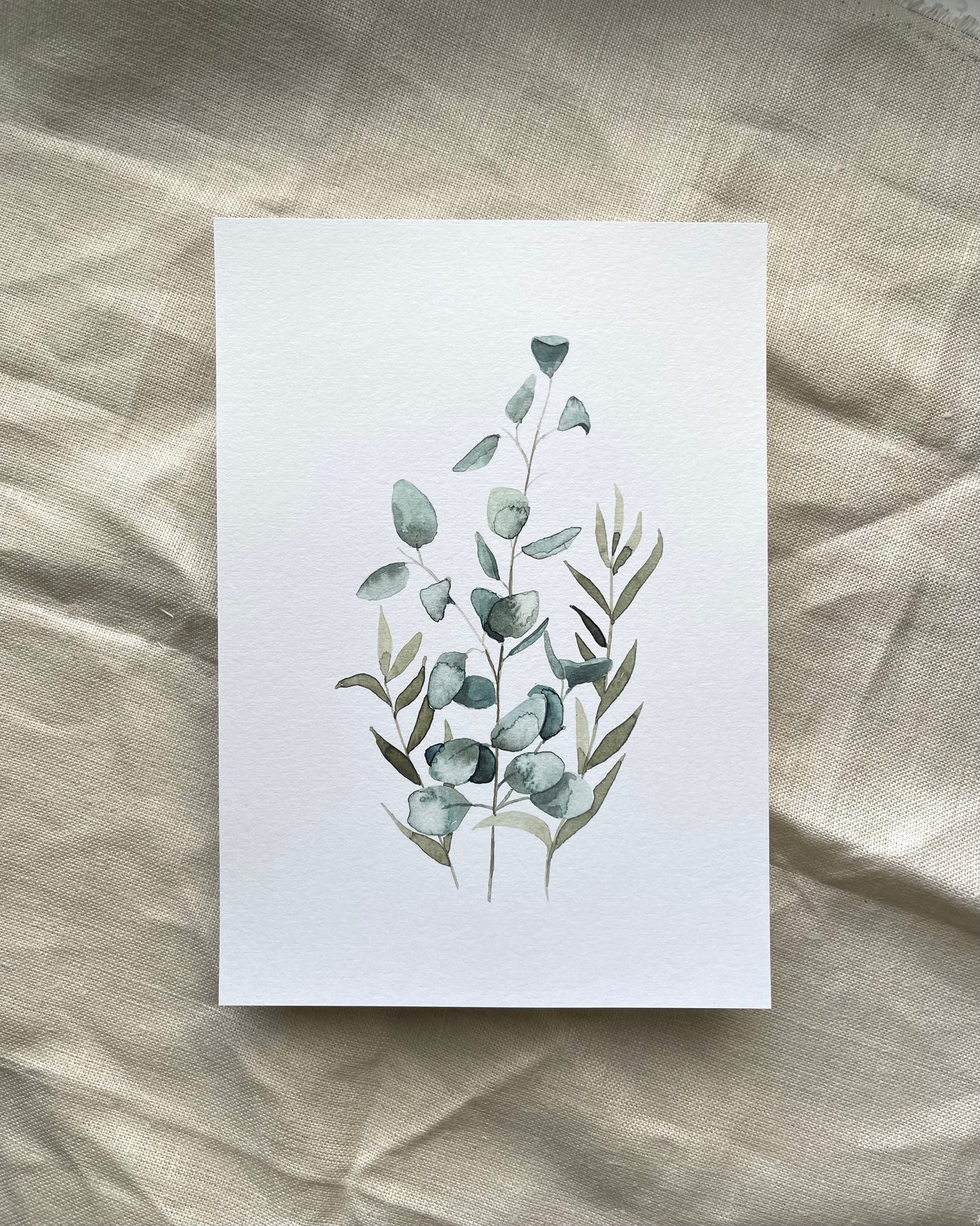 Eucalyptus Stem Collection Watercolour Print