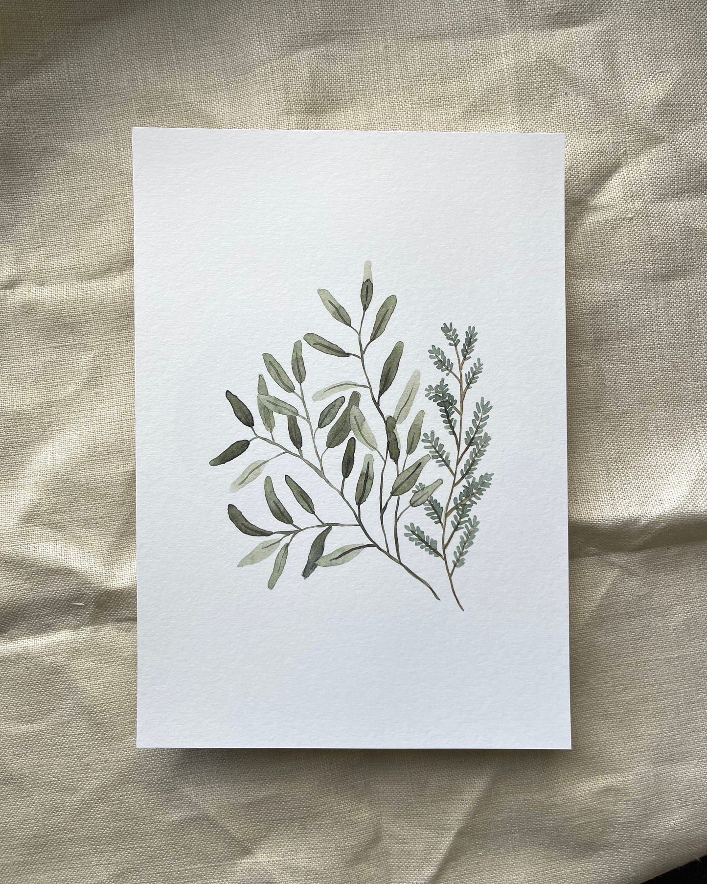 Eucalyptus Stems Watercolour Print