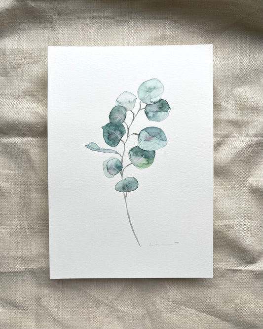 Single Eucalyptus Stem in Watercolour