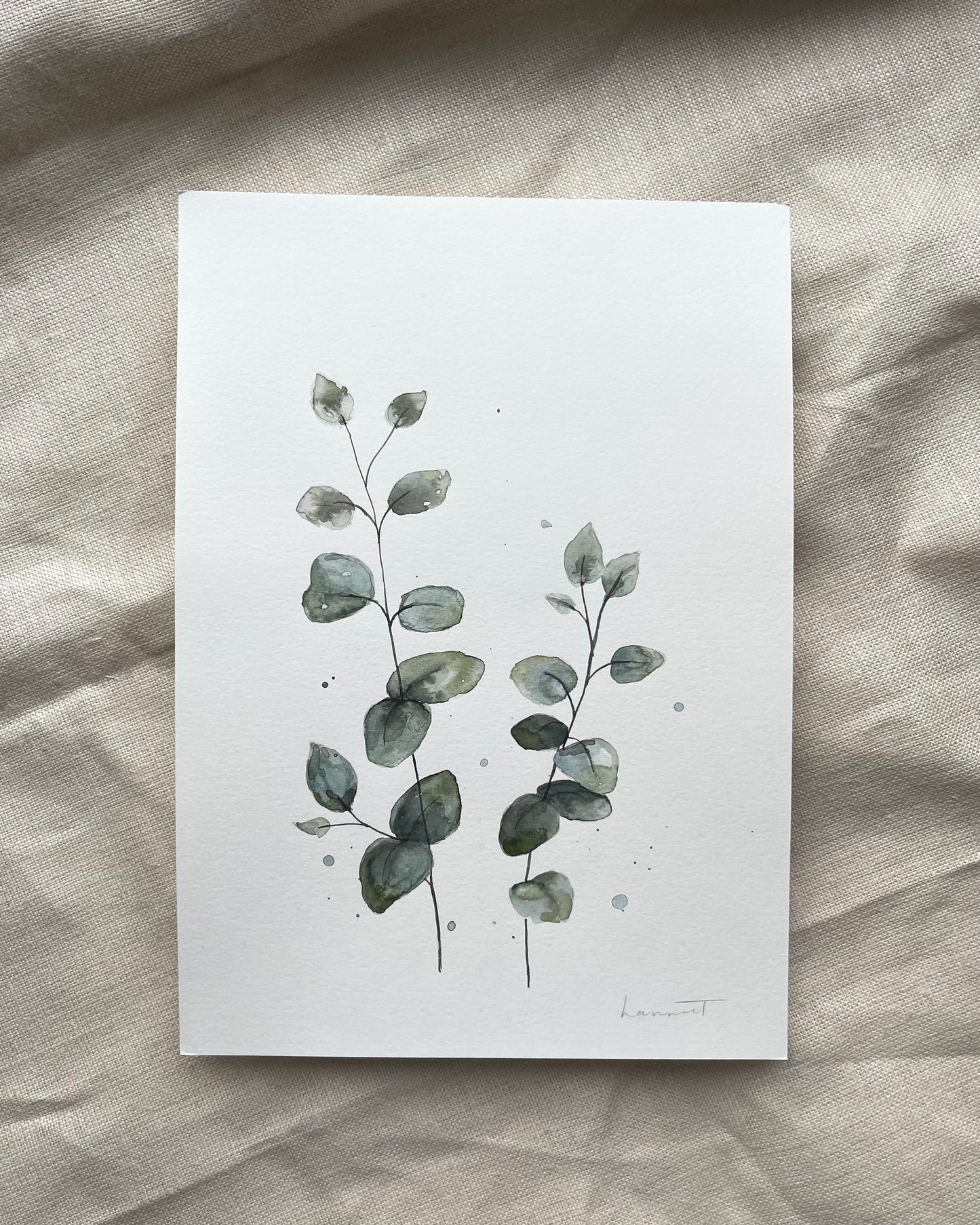 Eucalyptus Stem in Watercolour