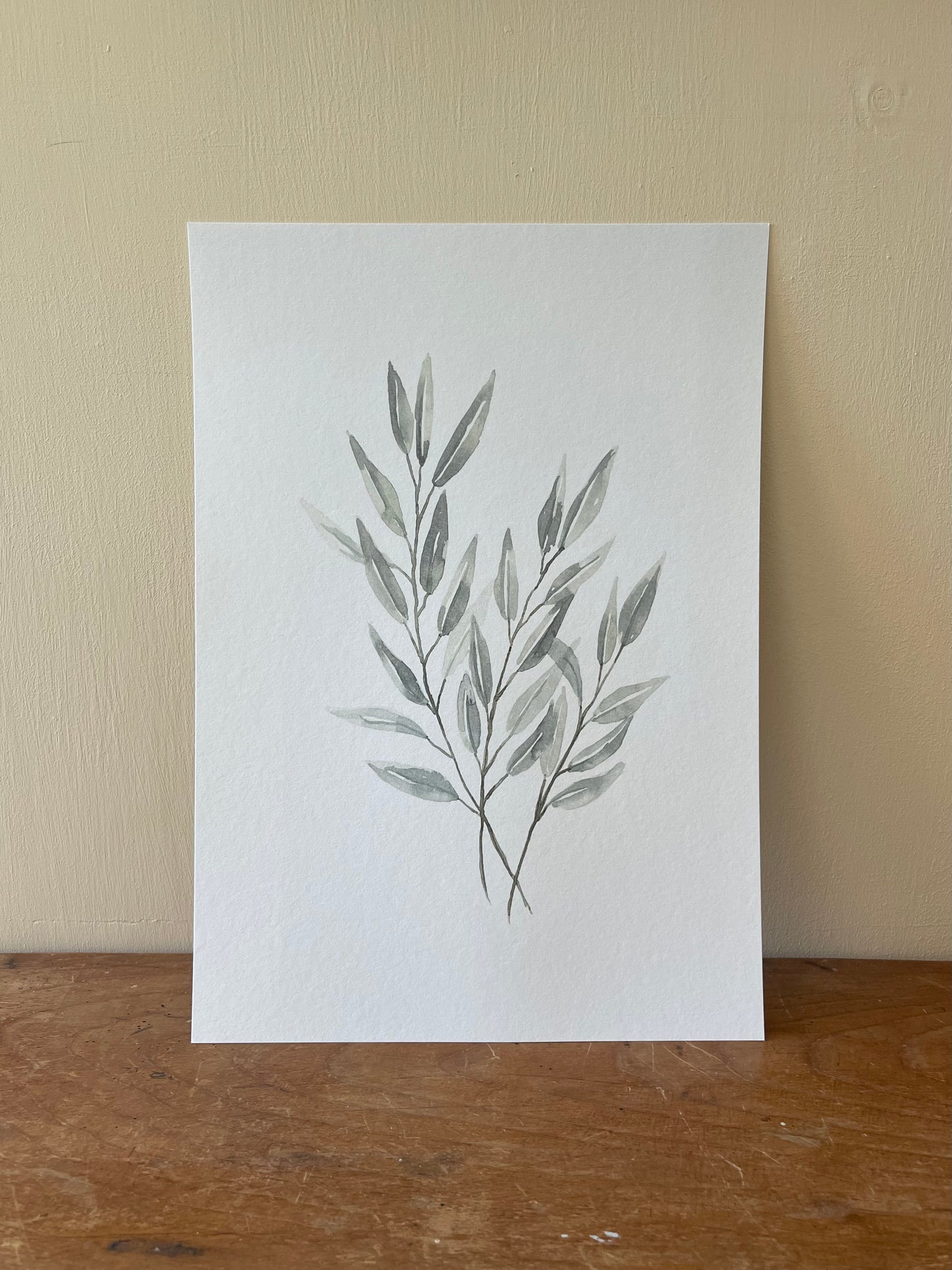 Flat Eucalyptus Bunch Watercolour Print