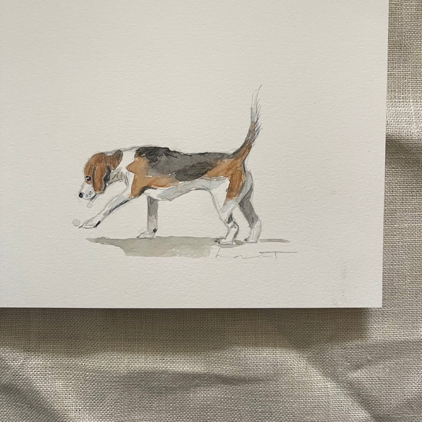 'Happy Wanderer' Beagle