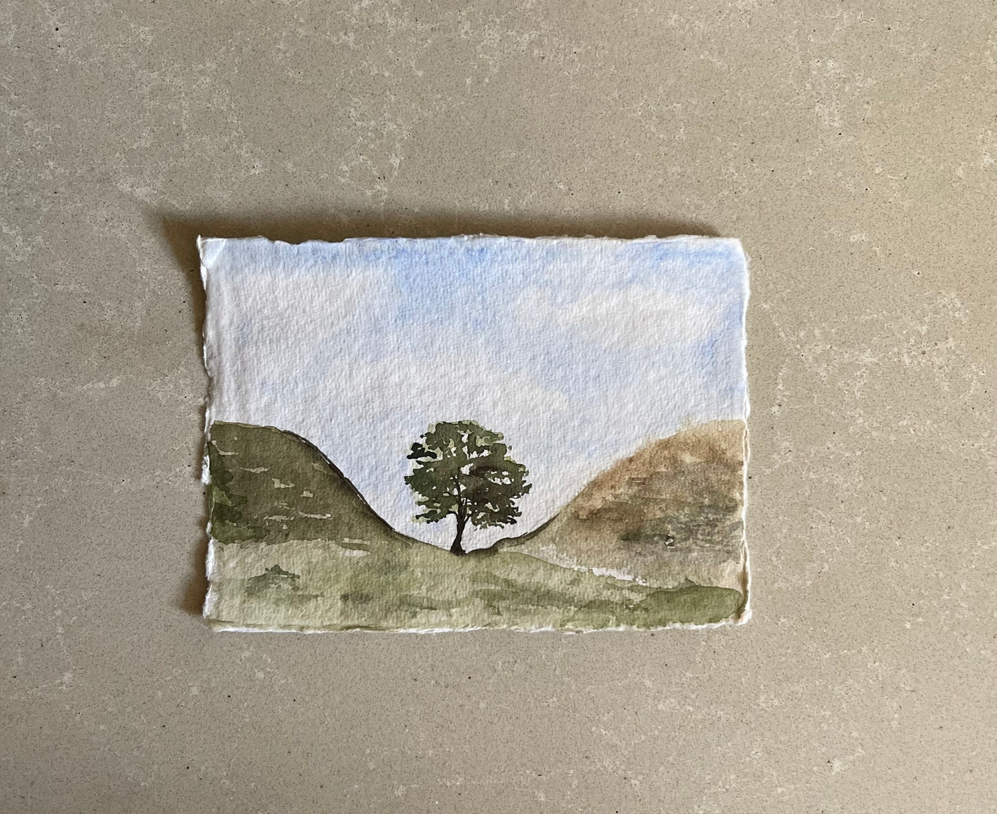 The Sycamore Gap