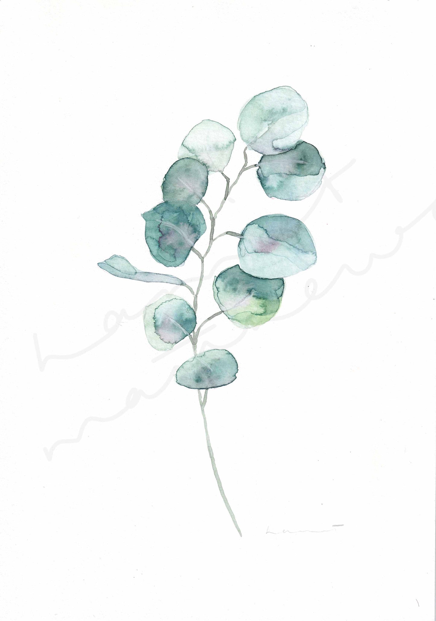 Single Eucalyptus Stem in Watercolour