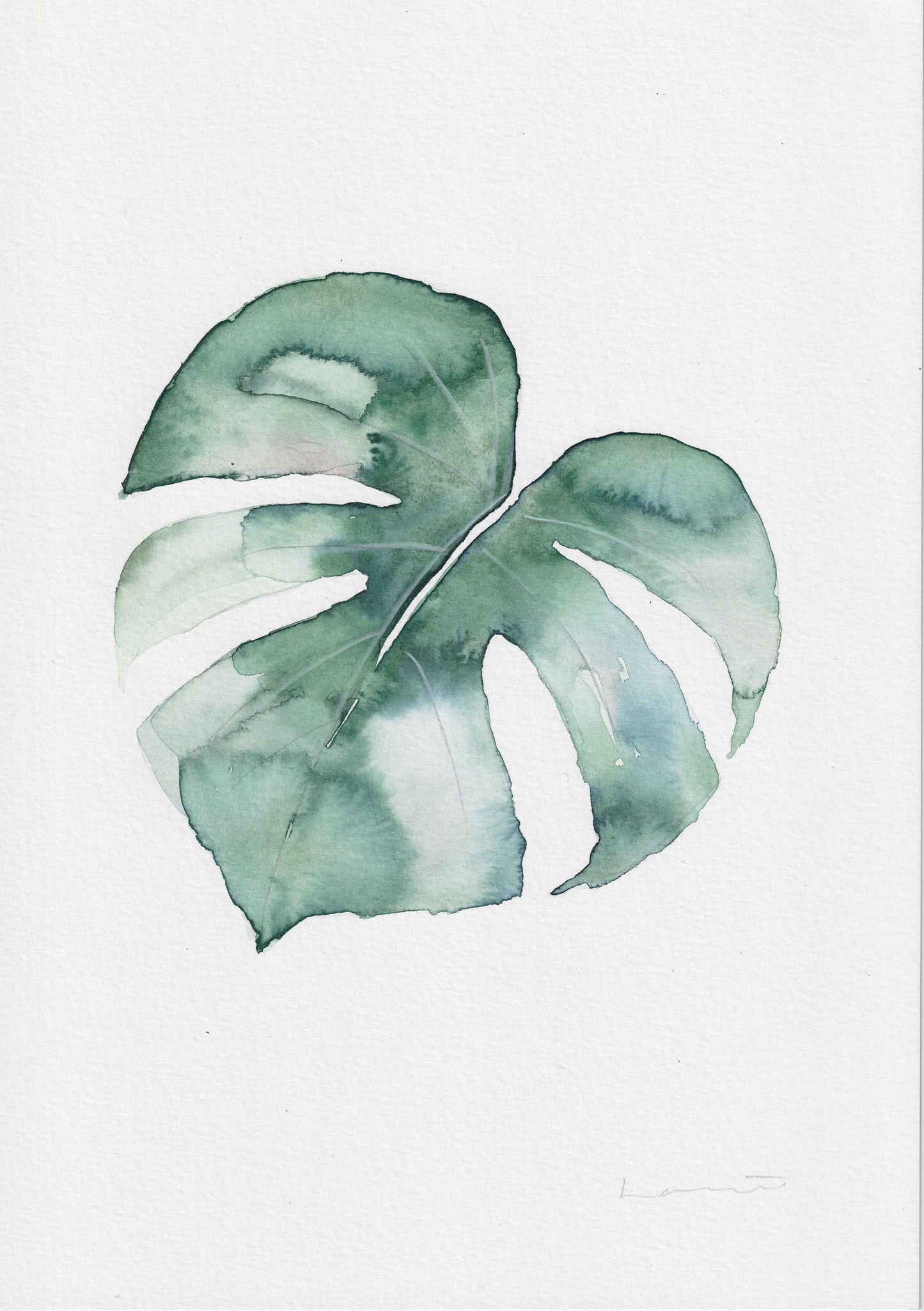 Monstera Leaf in Watercolour